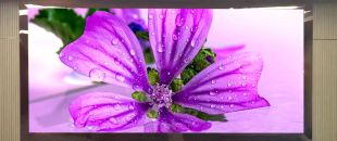 連鎖火鍋店老板哭訴：門頭LED廣告機讓我多賺了110萬，但千萬別學我踩這3個坑！”